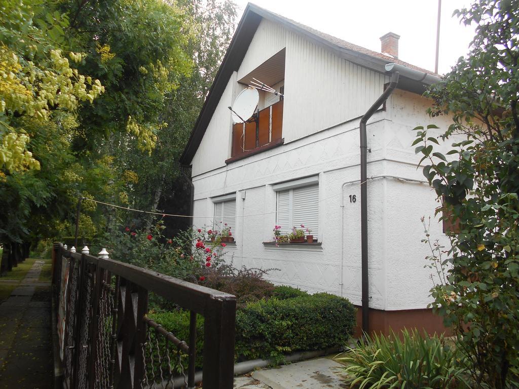 Abacskó Ház Villa Abádszalók Kültér fotó